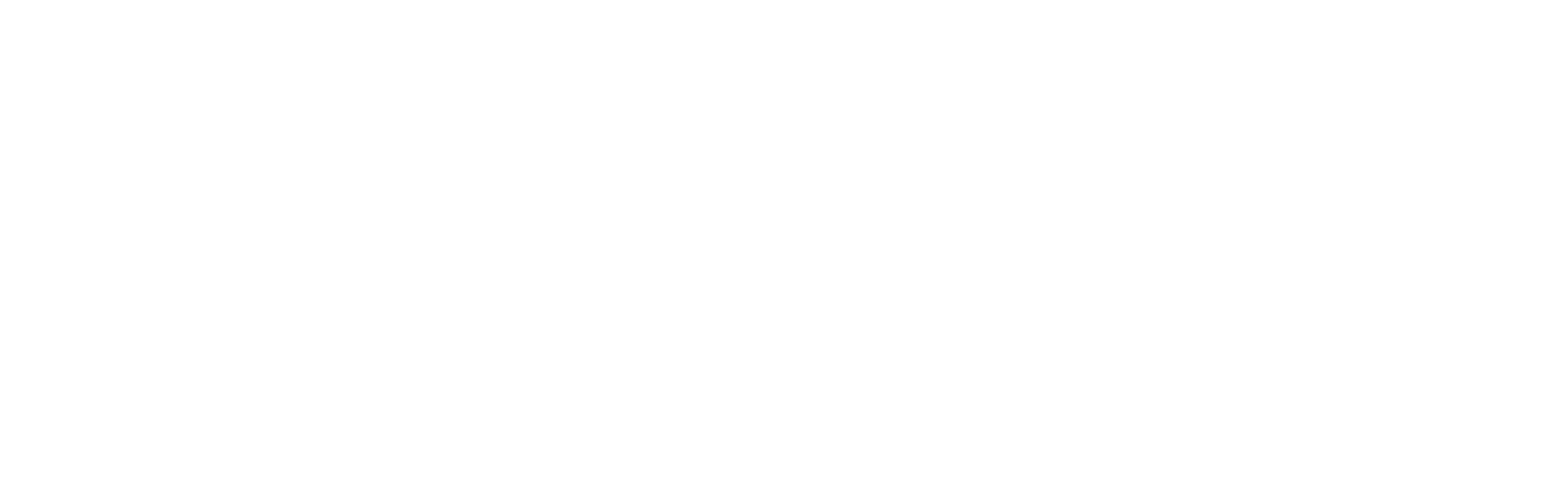 SINSA